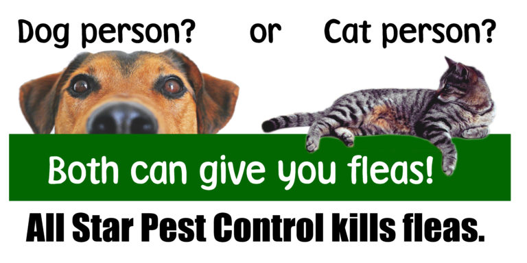 Advocate Flea Treatment How Does It Work